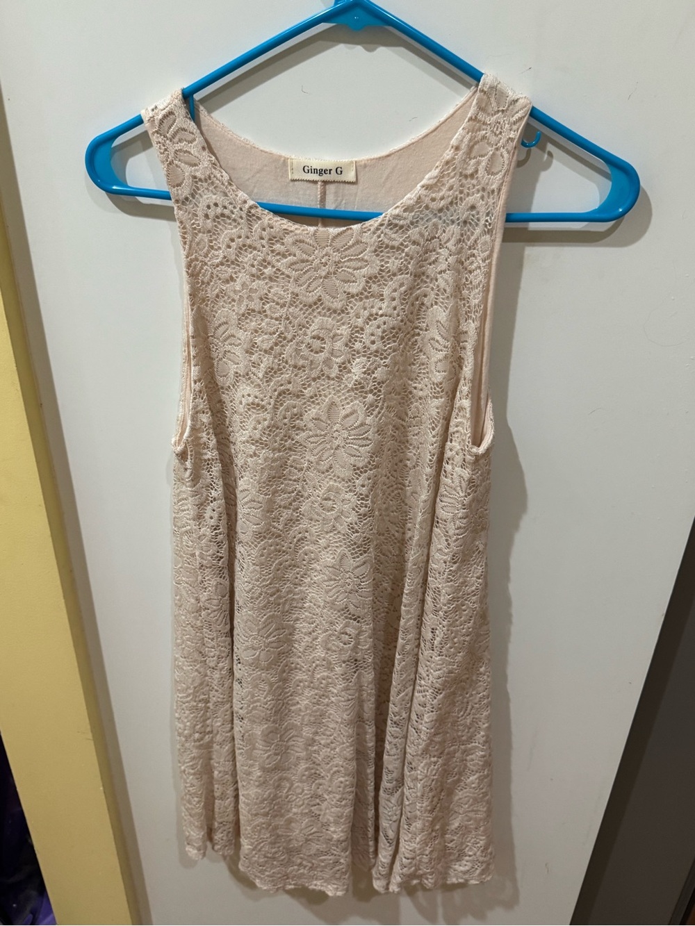 Ginger G Beige/Cream Floral Lace Mini Dress
